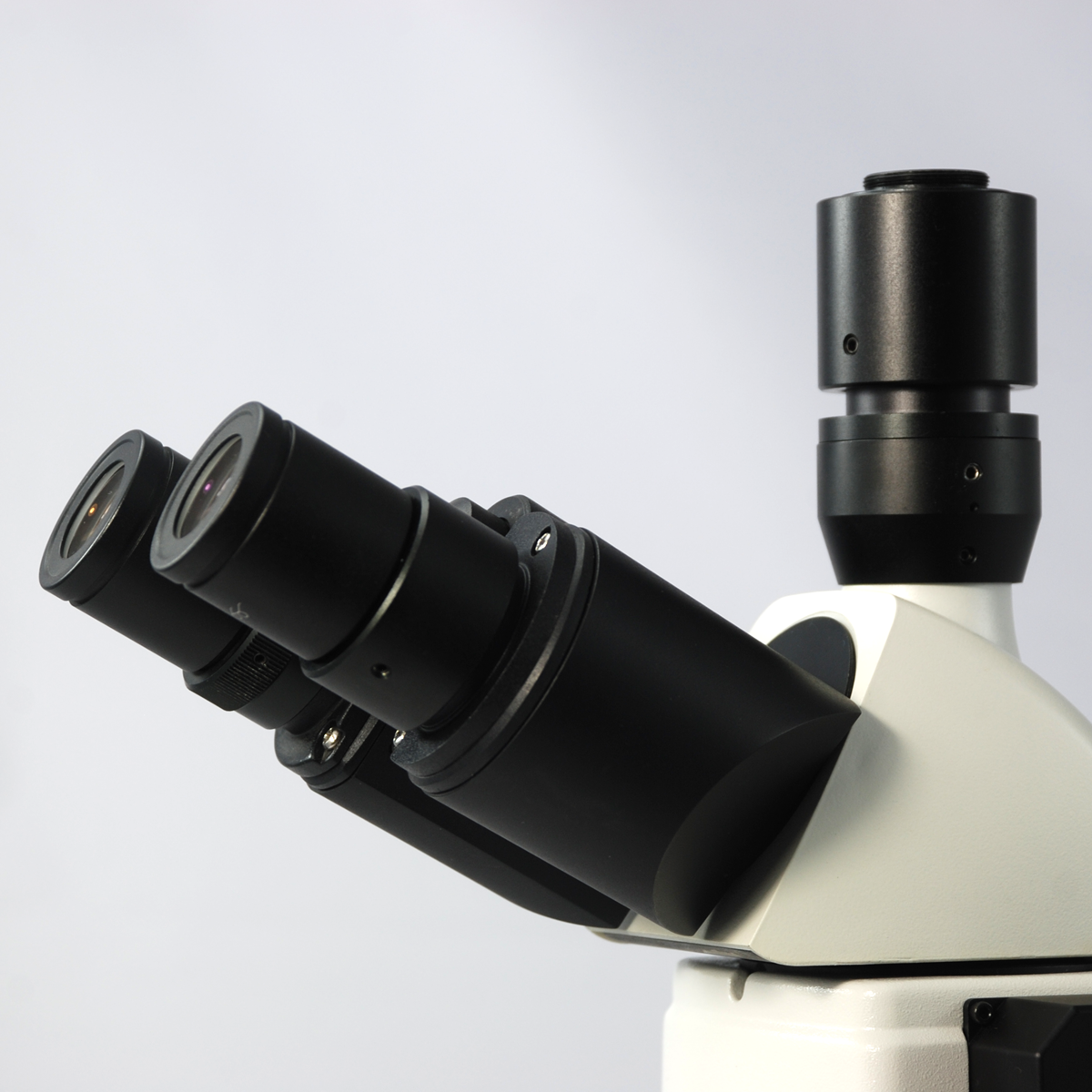 Fluorescence Microscope